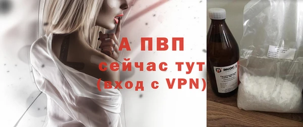 a pvp Каменка