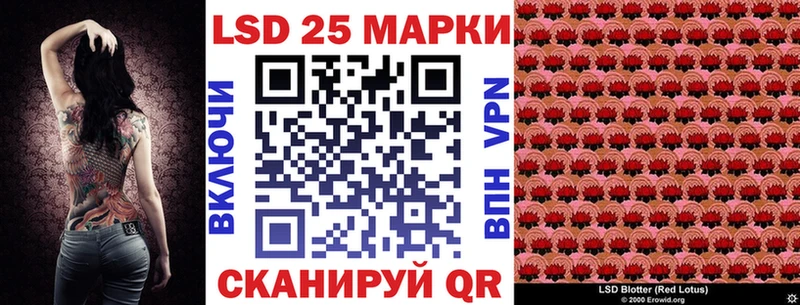 Купить где  Гудермес  Марки N-bome 1500мкг 