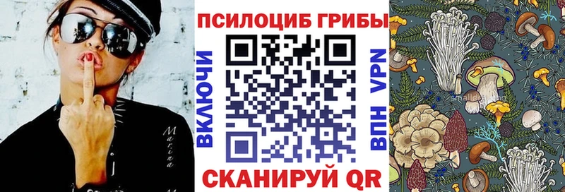 Купить где  Гудермес  Галлюциногенные грибы Psilocybine cubensis 